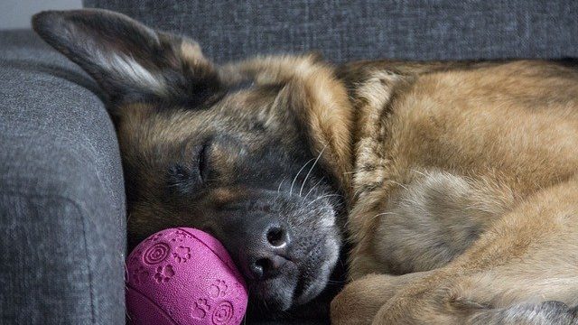 What you should know about these 5 common sleep myths