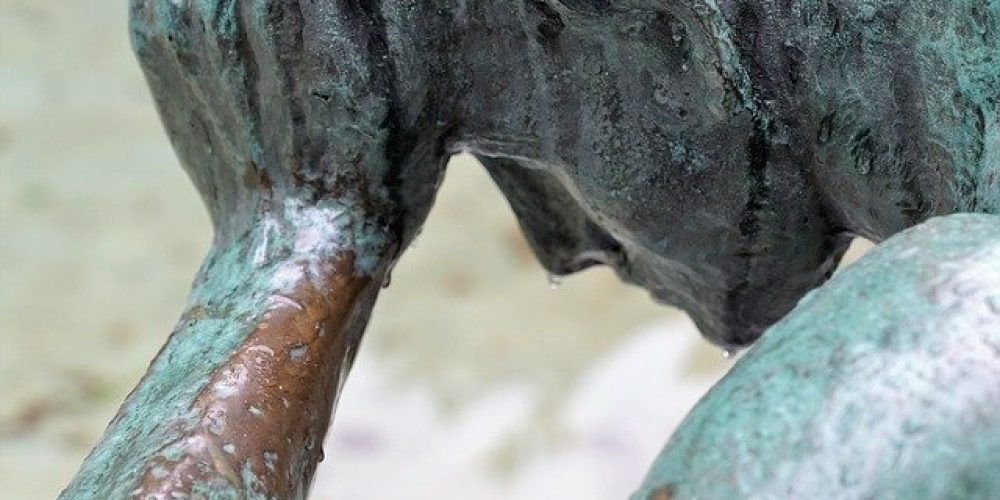 Dentists can diagnose headaches