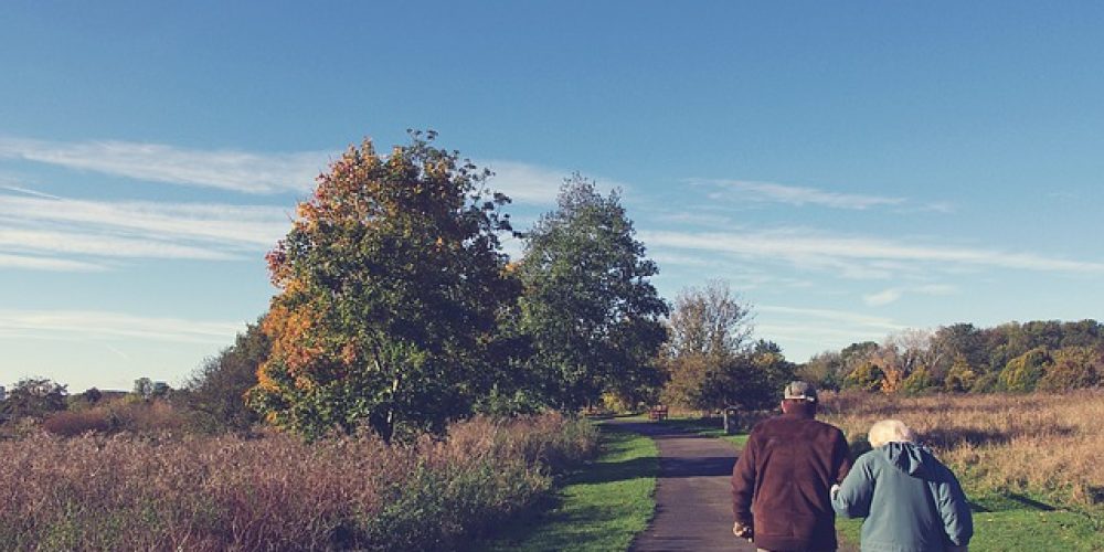 What is the link between Alzheimer’s disease and sleep apnea?