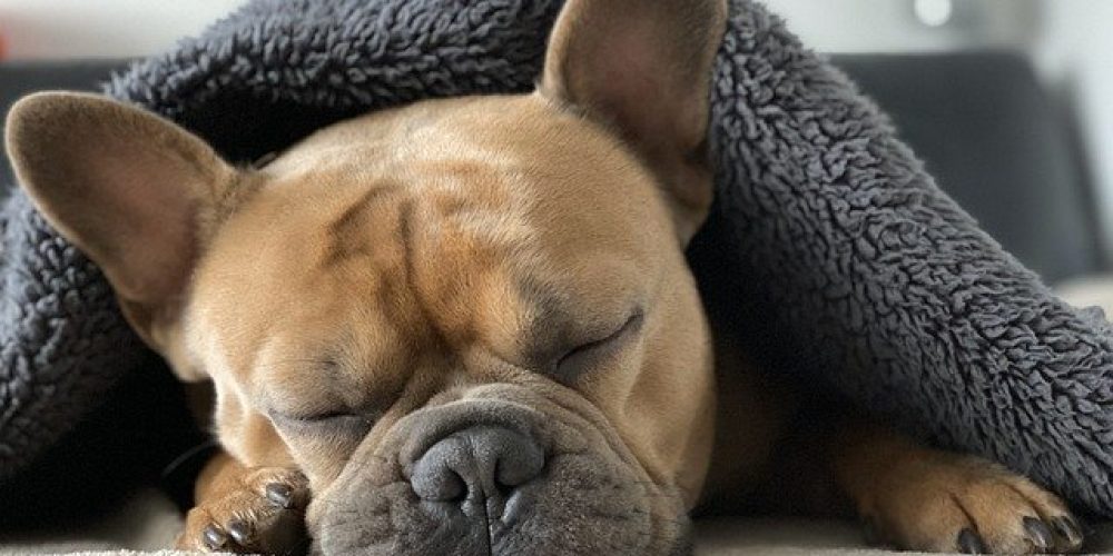 What you need to know about sleep apnea