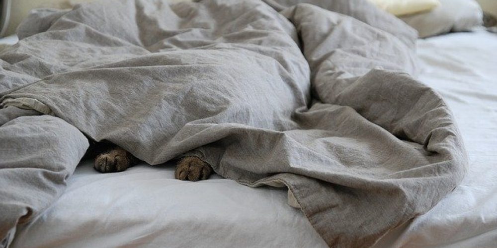 Are you sleeping with too many blankets?
