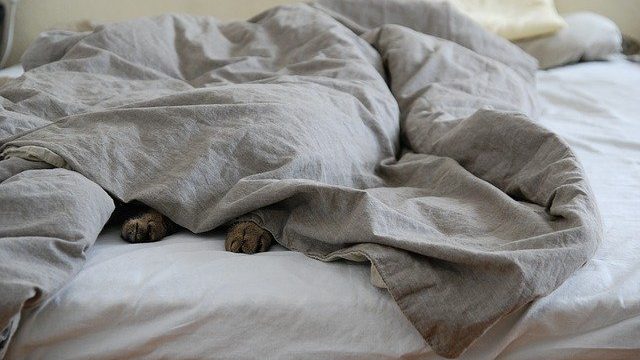 Are you sleeping with too many blankets?